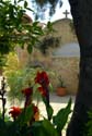 larnaka_30