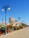 larnaka_93